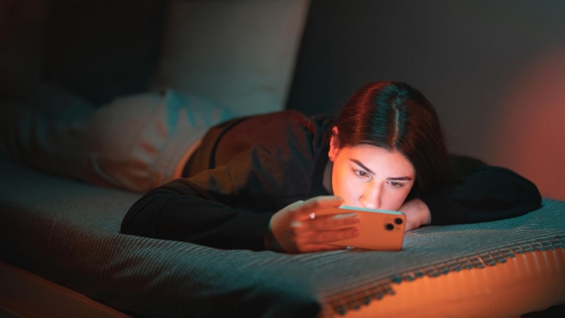 Роскомнадзор потвердил блокировку порталов с аниме-контентом