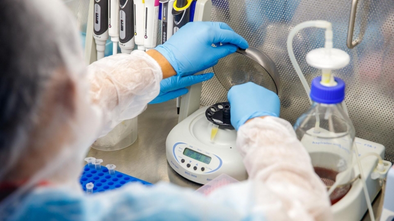 "Наномячики" против радиации. Ученые нашли новую защиту от излучения