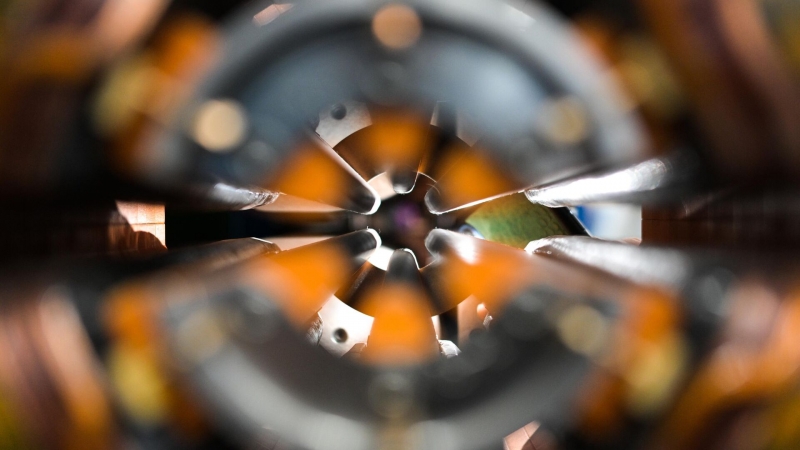 В России учат искусственный интеллект определять патологии у животных