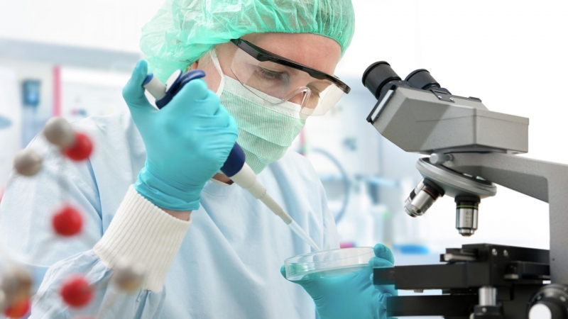 Первое искусственное человеческое сердце может появиться в 2025 году