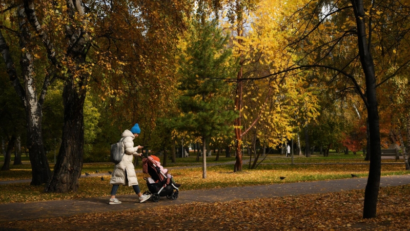 Роскомнадзор разработает критерии оценки информации об идеологии чайлдфри