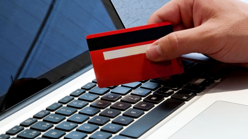 Куратор "Мошеловки" рассказала о поддельных сайтах сервисов доставки