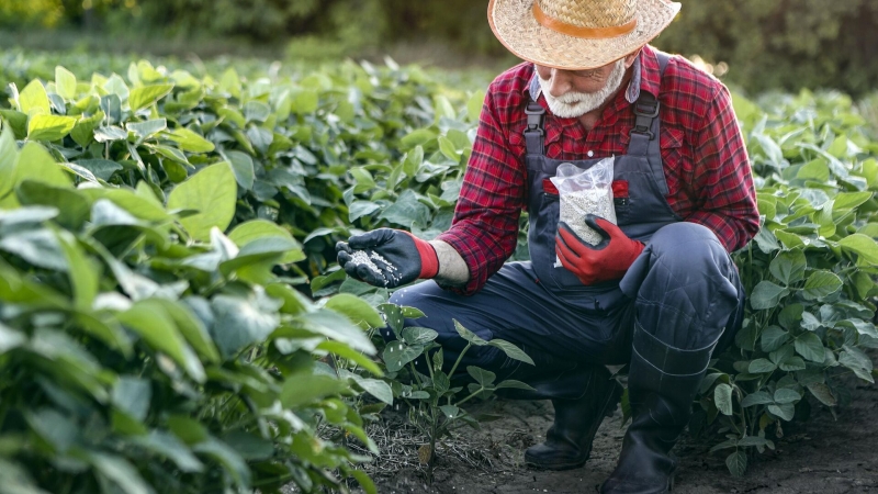 В России создали сверхчувствительный сенсор для поиска пестицидов в пище