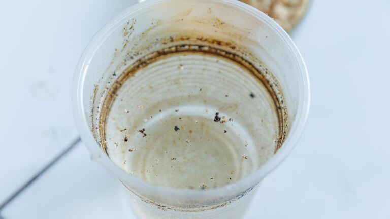 В Сибири создали "съедобную губку" для очистки Арктики от разливов нефти