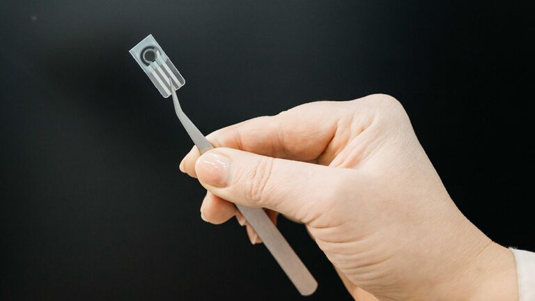 В России создали сверхчувствительный сенсор для поиска пестицидов в пище