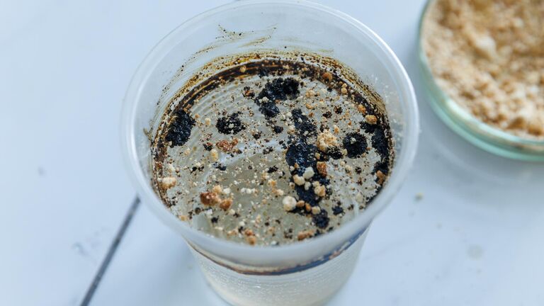 В Сибири создали "съедобную губку" для очистки Арктики от разливов нефти