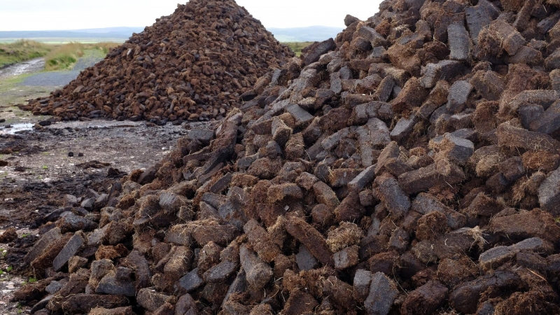 В ВятГУ вывели бактерии для устранения техногенных катастроф