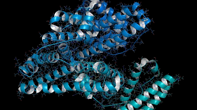 В России создали вещества-хамелеоны для медицины