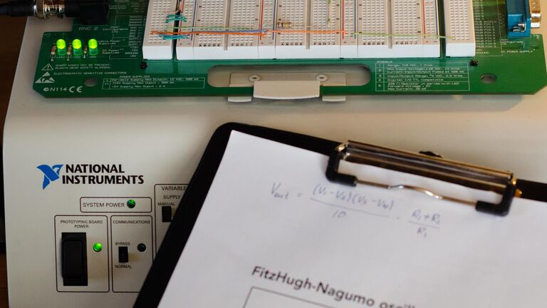 Ученые обнаружили неизвестный науке режим работы нейронов