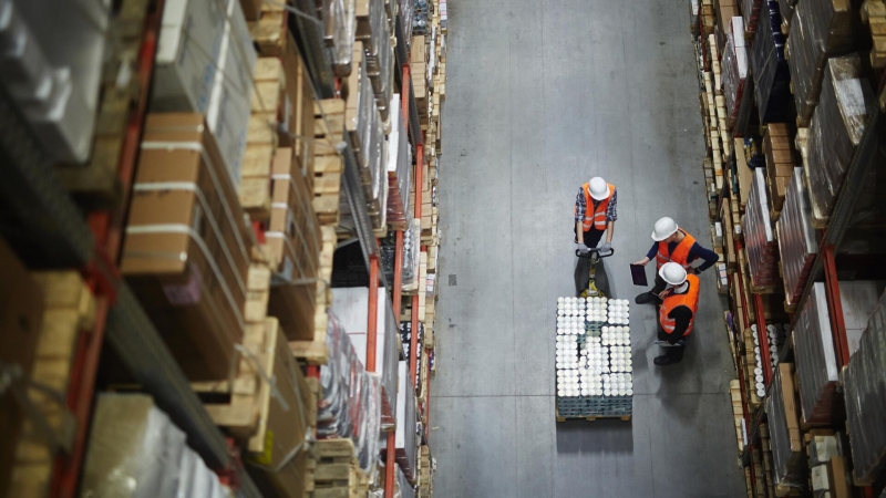 Россиянам рассказали, какие IT-профессии будут востребованны в 2025 году