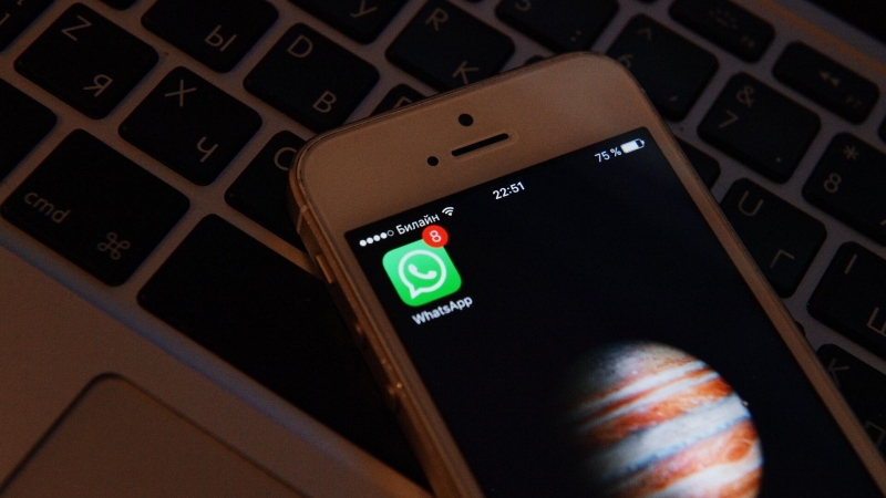 Россиян предупредили о новой схеме мошенничества в Telegram