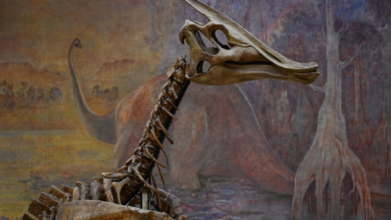 Открытый в декабре астероид может столкнуться с Землей