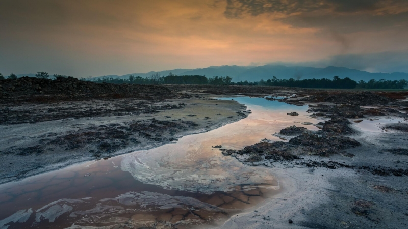 Ученые СурГУ оценили вред для почв от разливов нефти