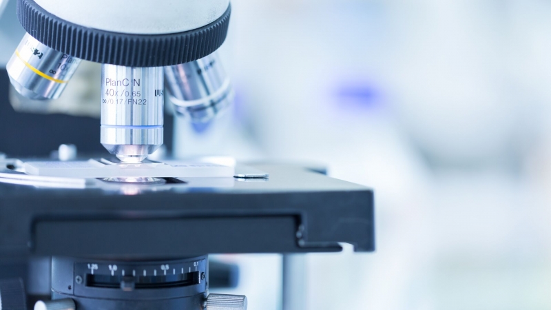 Концентрация микропластика в мозге человека выросла