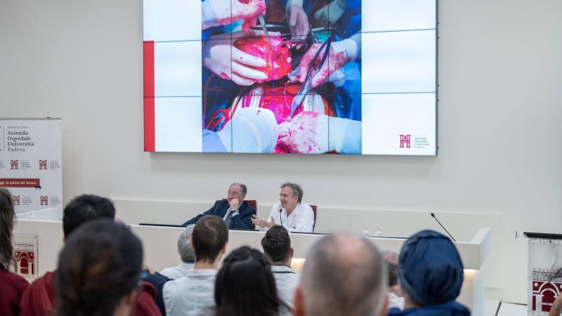 В США разрешили испытания по трансплантации людям почек свиней