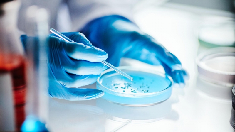 В Северной Осетии открыли необычный организм