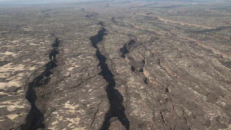 "В масштабе пяти лет". Ученые забили тревогу из-за надвигающейся угрозы