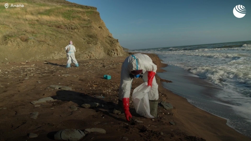 Путин поручил внедрить научные разработки в ликвидацию разлива мазута