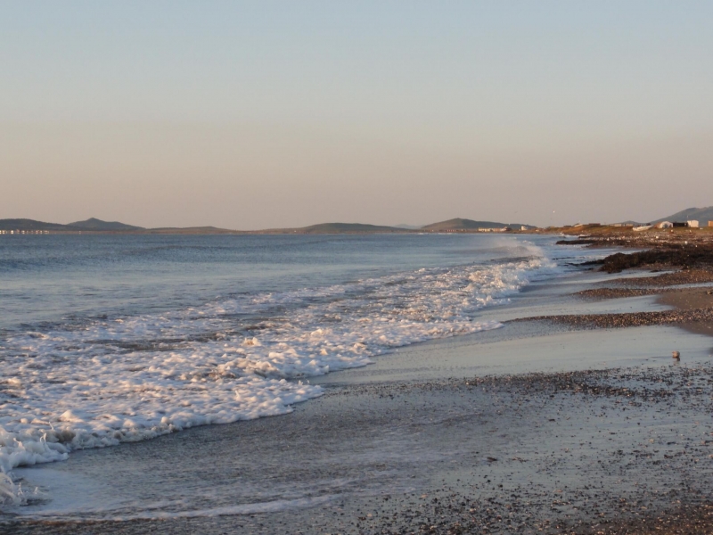 Плохая примета подтверждается: найден живой предвестник Судного дня