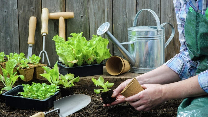 Магия ночного светила: полнолуния в 2025 году, когда будут, приметы