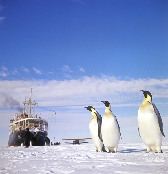 Смертельная опасность из Антарктиды: гигантский айсберг может погубить всех