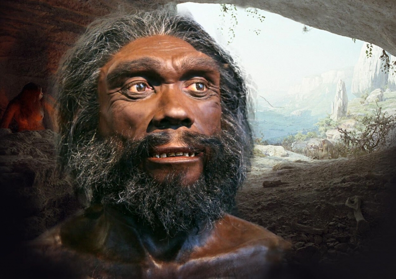 "Мозг больше обычного". Причудливая находка на Алтае озадачила ученых