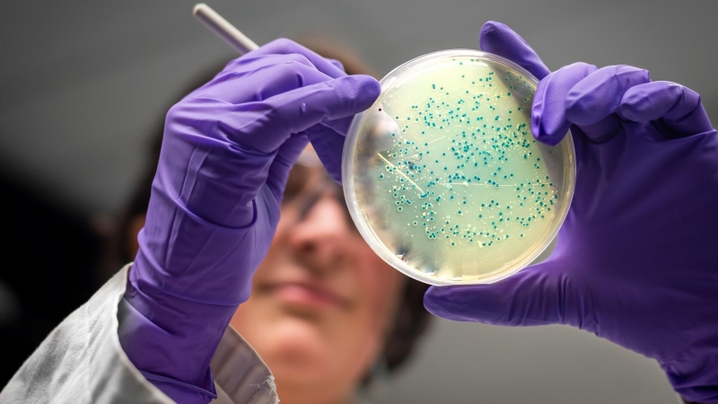 В Северной Осетии открыли необычный организм