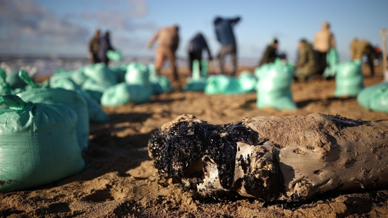 Путин поручил внедрить научные разработки в ликвидацию разлива мазута