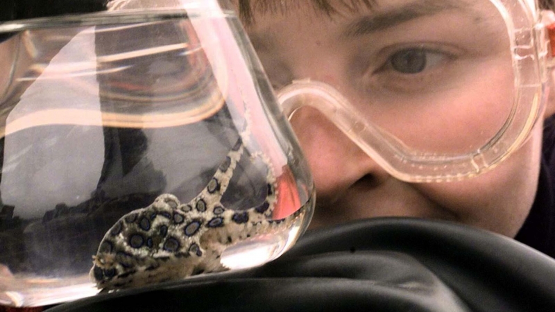 Круче, чем у богомола. Ученые нашли самый необычный способ заняться сексом