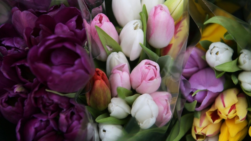 Российские космонавты поздравили женщин с 8 Марта