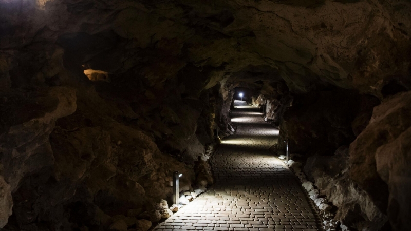 Спелеологи провели исследование пещер в Крыму в интересах Минобороны