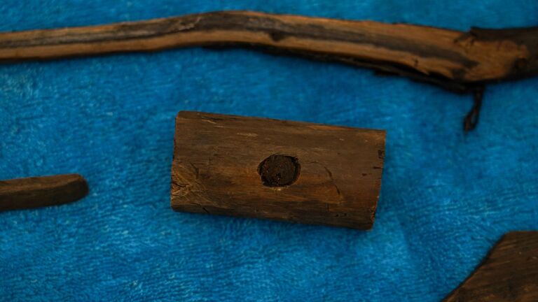 Полторы тысячи древностей. Что нового нашли археологи на Троицком раскопе