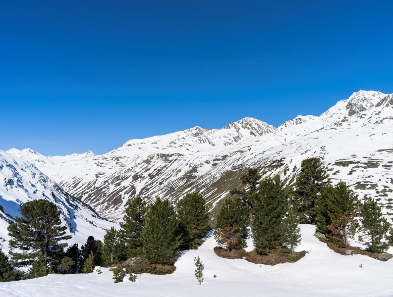 Проклятие "ледяного человека": как мумия из каменного века отомстила ученым