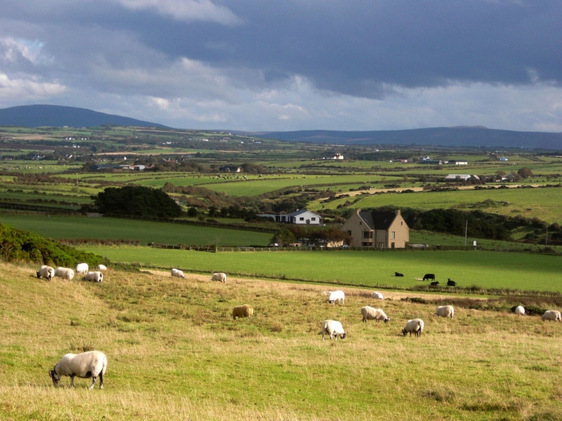 Превращает жертву в зомби: найдена инфекция страшнее вирусов и бактерий