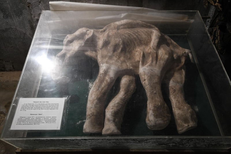 Воскресить древнего монстра из Сибири: ученые затеяли опасную игру