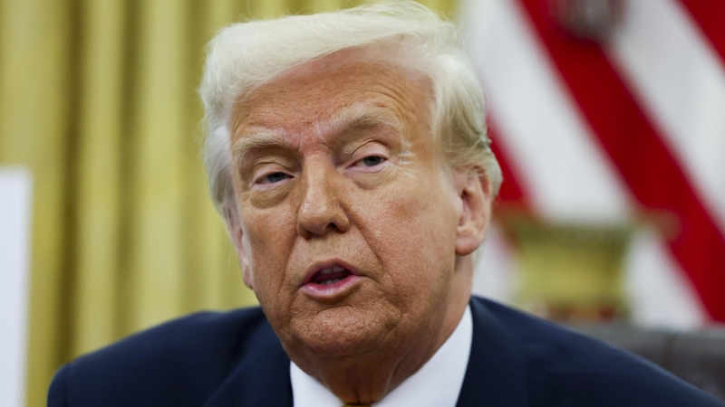 В США назвали Маска щитом Трампа от критики