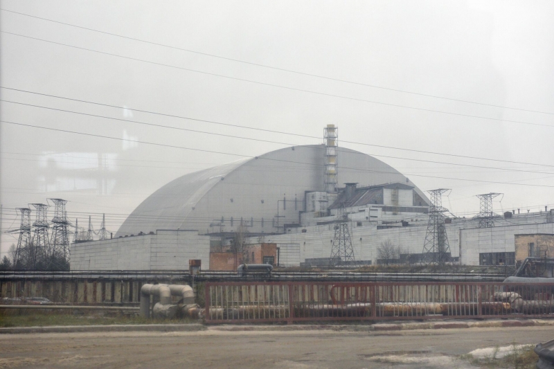 У чернобыльских животных ускорилась эволюция. Ученые обнаружили мутантов