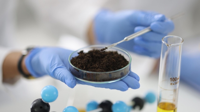 Ученые выяснили, что арктические газоны замедляют глобальное потепление