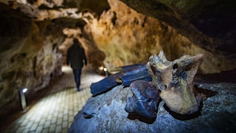 Спелеологи провели исследование пещер в Крыму в интересах Минобороны