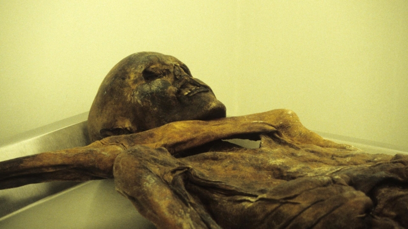Проклятие "ледяного человека": как мумия из каменного века отомстила ученым