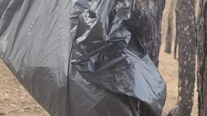 ВС России сбили легким коптером бронированную "Бабу-ягу" ВСУ