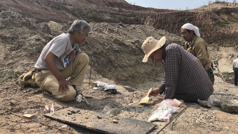 Исследование показало, что орудия из кости появились раньше, чем считалось
