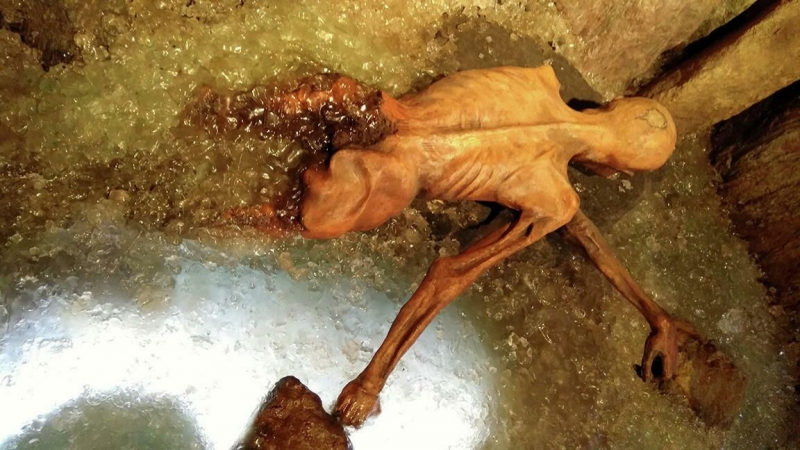 Проклятие "ледяного человека": как мумия из каменного века отомстила ученым