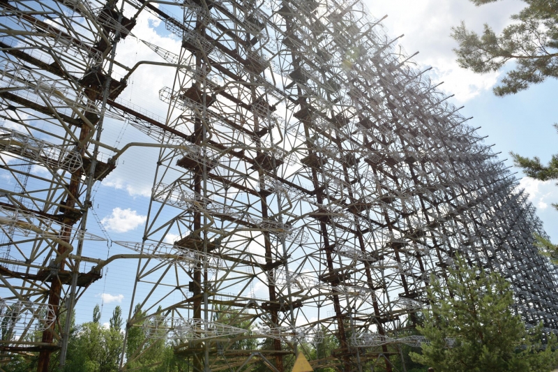 У чернобыльских животных ускорилась эволюция. Ученые обнаружили мутантов