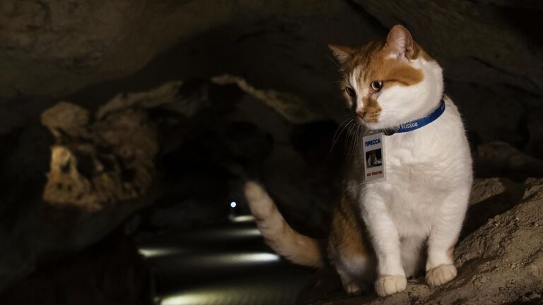 Спелеологи провели исследование пещер в Крыму в интересах Минобороны