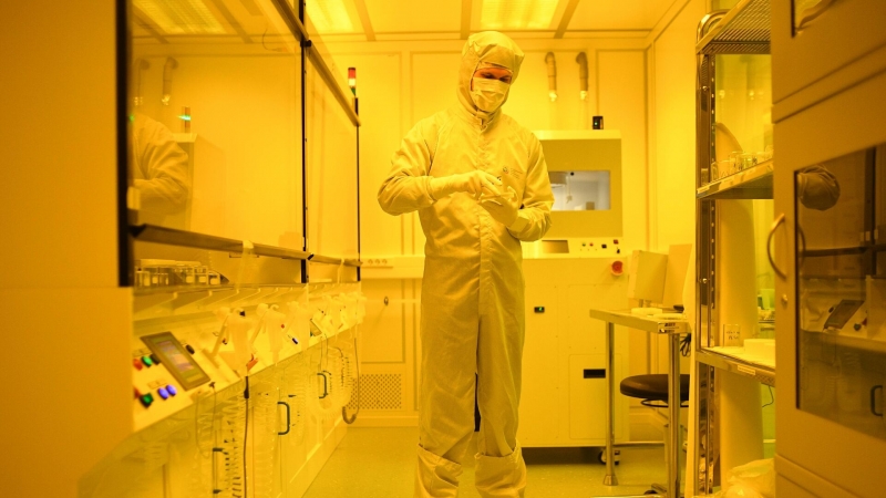 Превращает жертву в зомби: найдена инфекция страшнее вирусов и бактерий