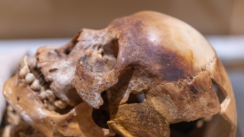 "Вы сильно удивитесь!". Ученые выяснили, чем пахнут мумии Древнего Египта