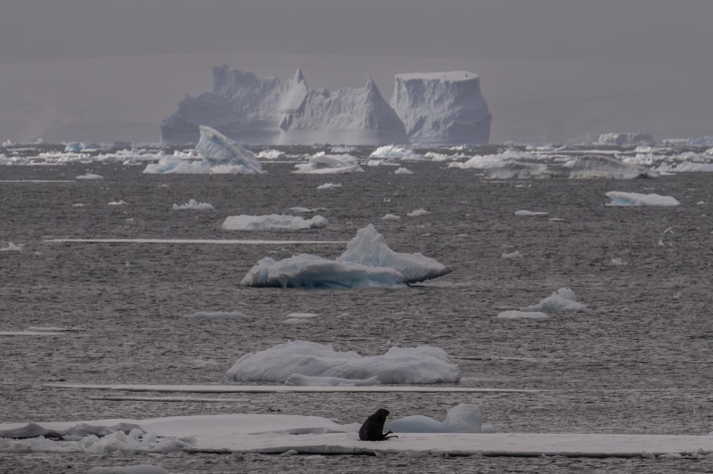 В ловушке с психопатом: станция в Антарктиде передала тревожное сообщение