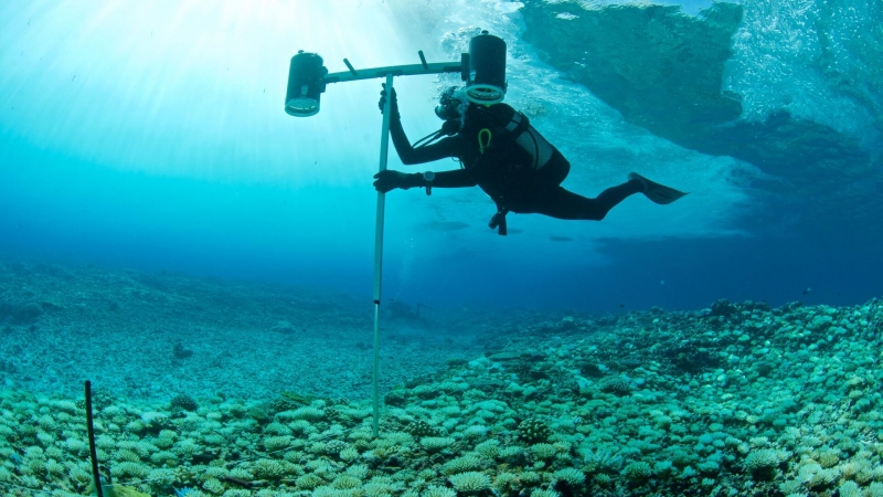 Гравитационная дыра в Индийском океане поставила ученых в тупик