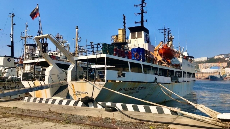 Российские ученые обнаружили новые виды глубоководных моллюсков